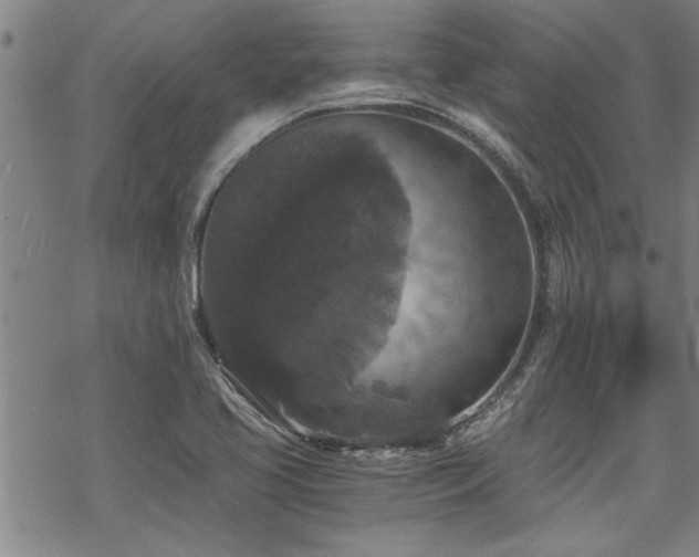 X0000069811413200605191034