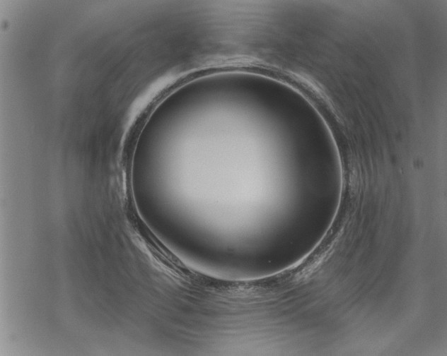 X0000069811414200605191034