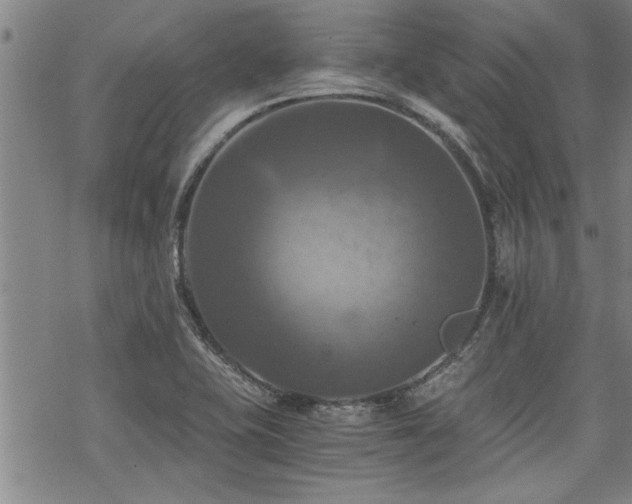 X0000069811415200605191034