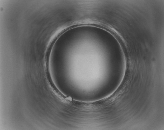 X0000069811416200605191034