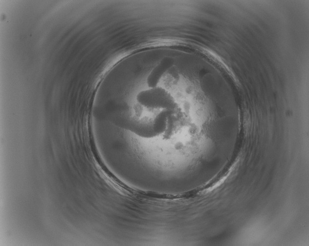 X0000069811417200605191034