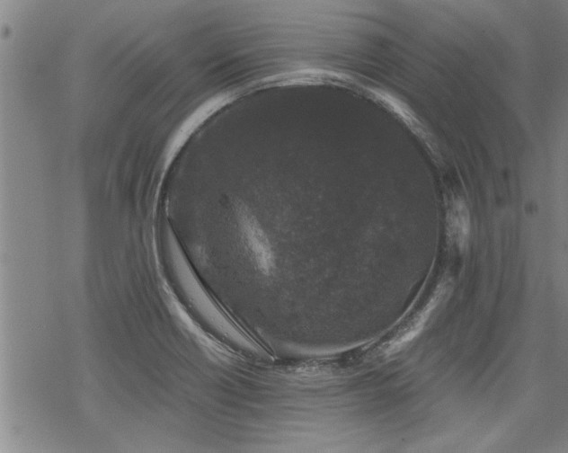 X0000069811418200605191034