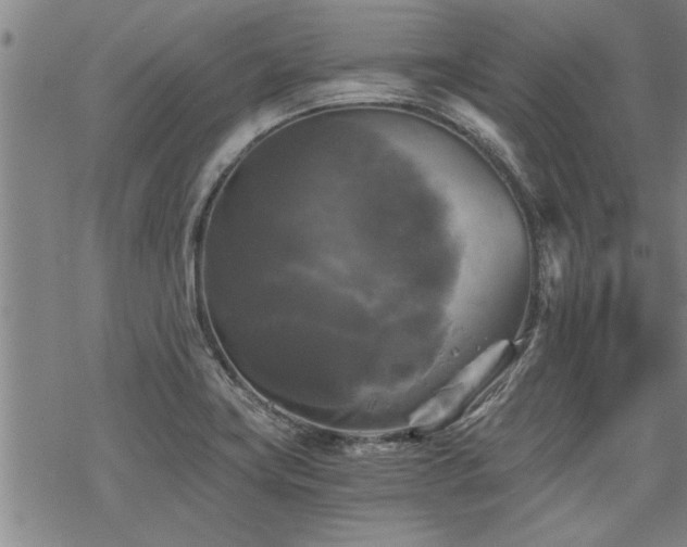 X0000069811419200605191034