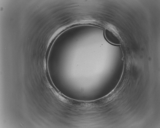 X0000069811420200605191034