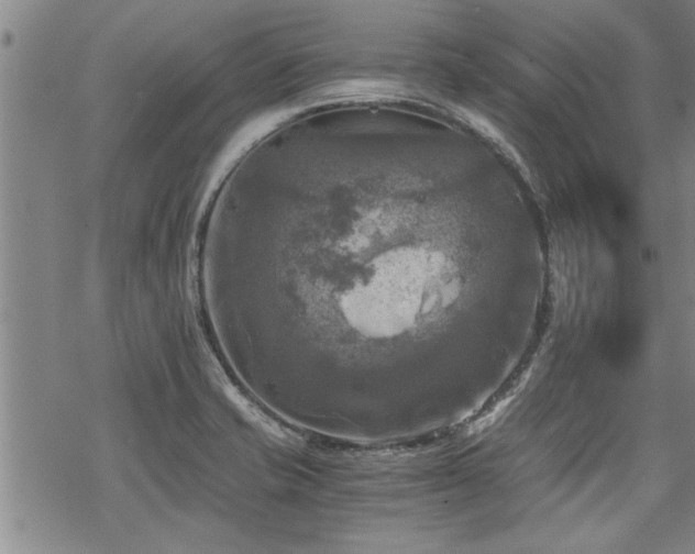 X0000069811421200605191034