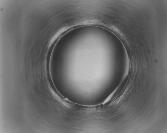 X0000069811422200605191034