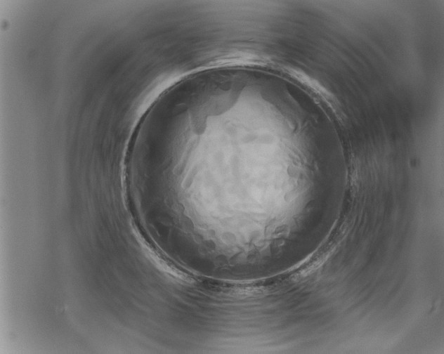 X0000069811423200605191034