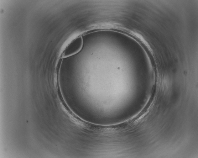 X0000069811424200605191034