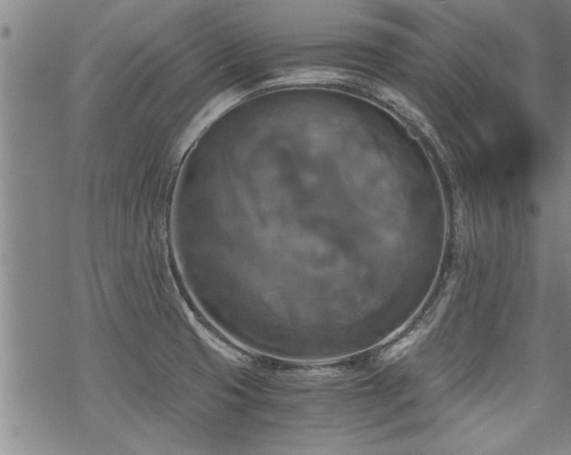 X0000069811425200605191034