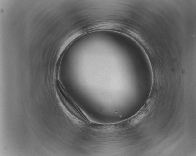 X0000069811426200605191034