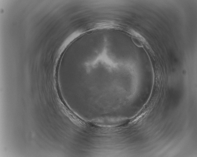 X0000069811427200605191034