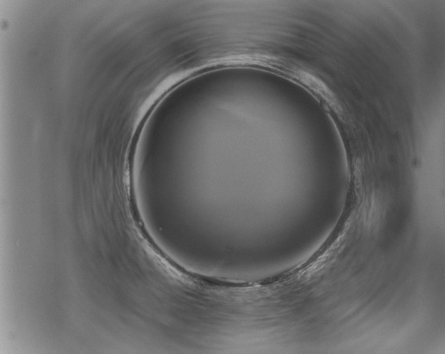 X0000069811428200605191034