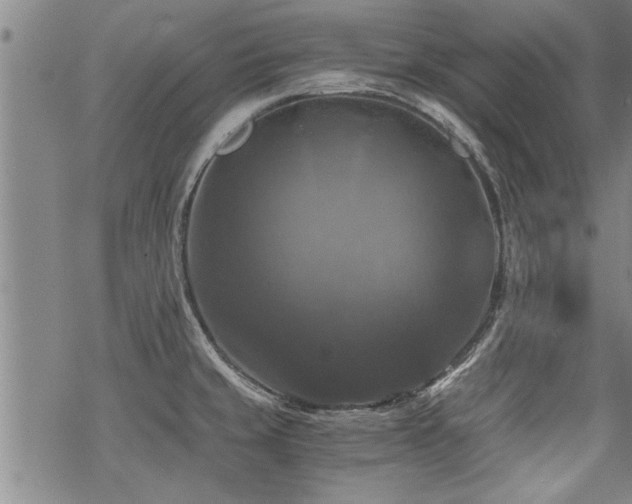 X0000069811429200605191034