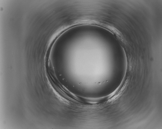 X0000069811430200605191034