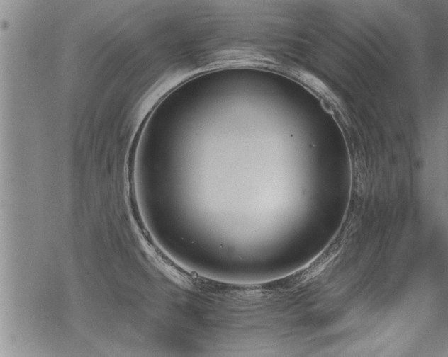 X0000069811431200605191034