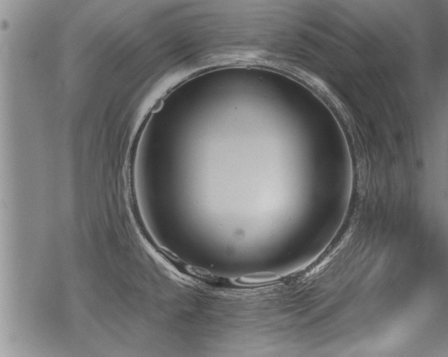 X0000069811432200605191034