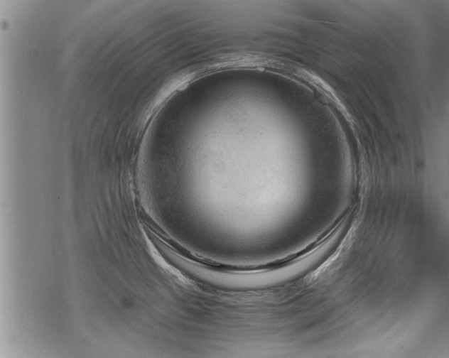 X0000069811433200605191034