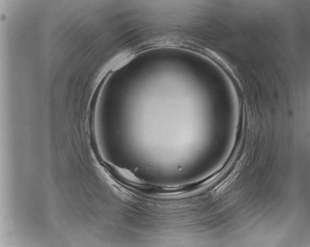 X0000069811434200605191034