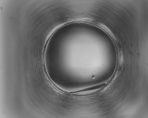 X0000069811436200605191034