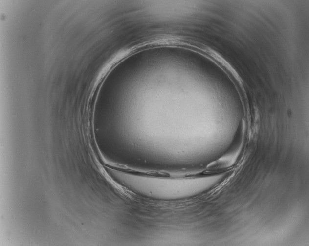 X0000069811437200605191034