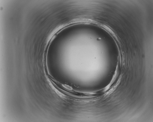 X0000069811438200605191034