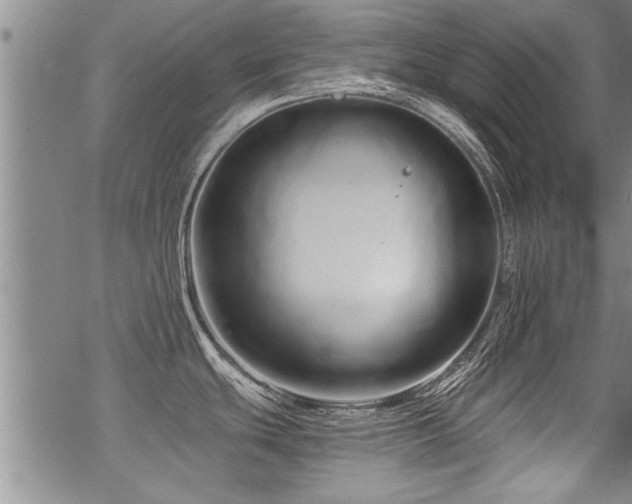 X0000069811439200605191034