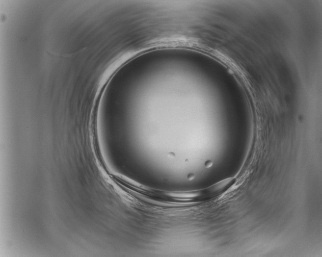 X0000069811440200605191034