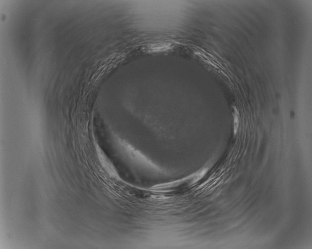 X0000069811441200605191034