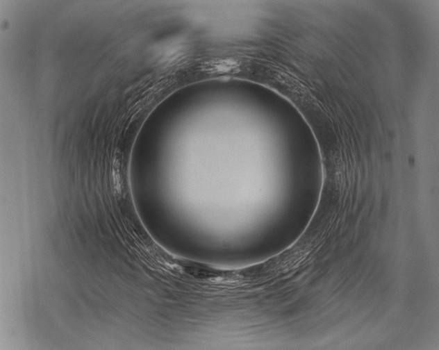 X0000069811442200605191033