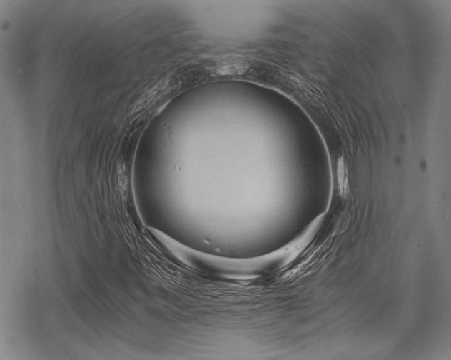 X0000069811443200605191033