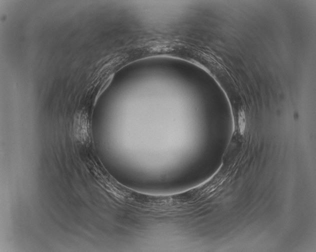 X0000069811444200605191033