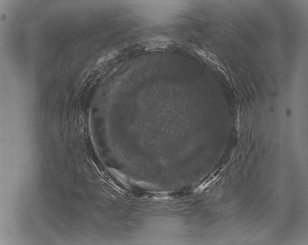 X0000069811445200605191033