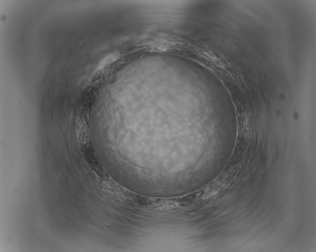 X0000069811446200605191033