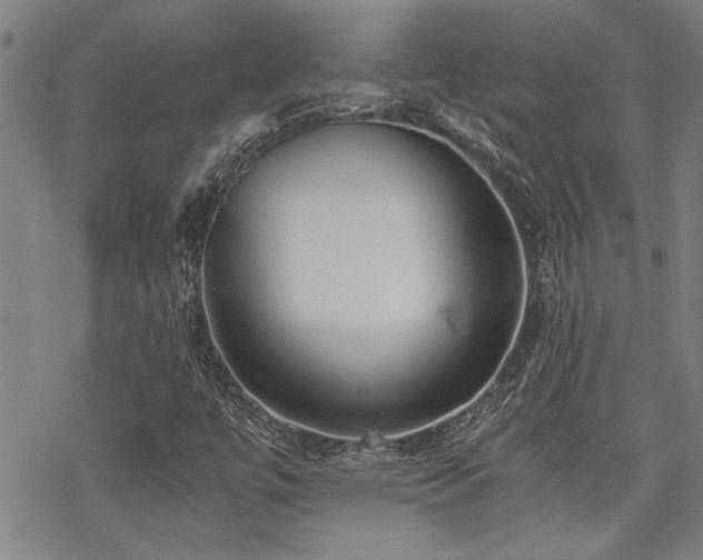 X0000069811447200605191033