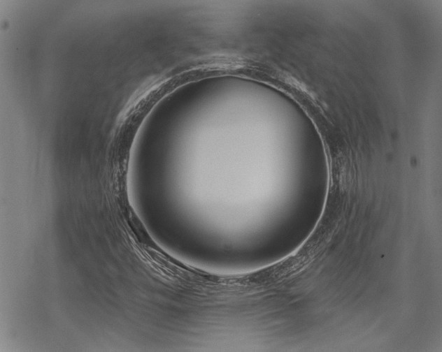 X0000069811448200605191033