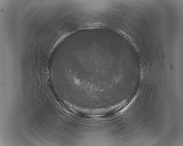 X0000069811449200605191033