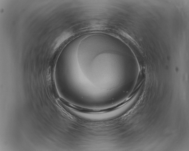 X0000069811450200605191033