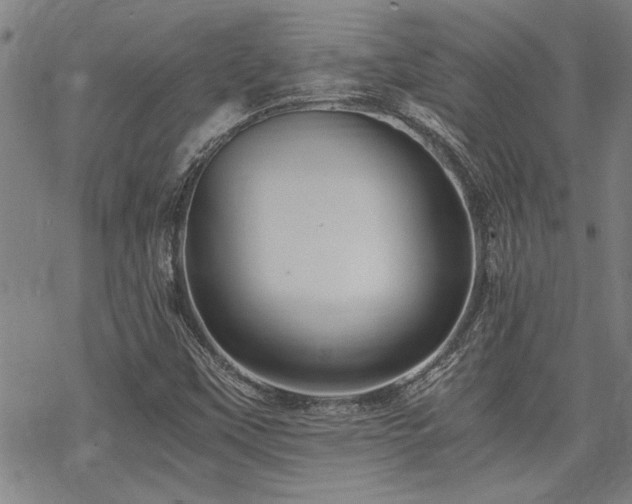 X0000069811451200605191033