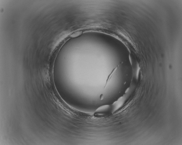 X0000069811452200605191033