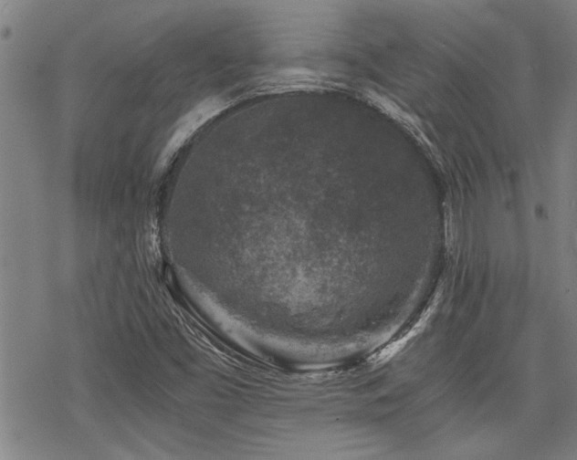 X0000069811453200605191033