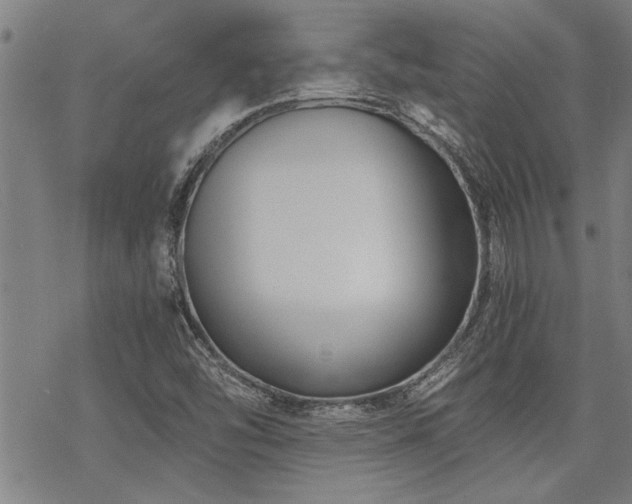 X0000069811454200605191033