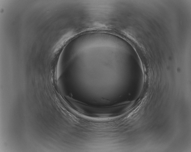 X0000069811455200605191033