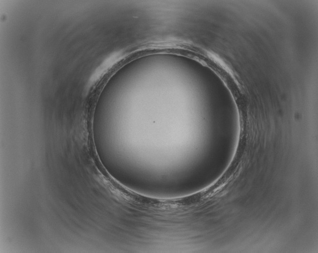 X0000069811456200605191033