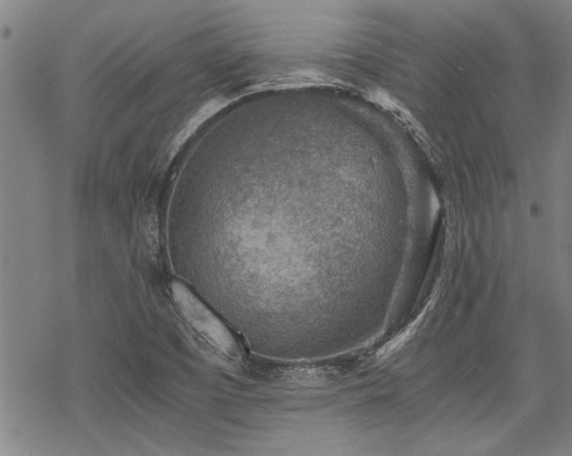 X0000069811457200605191033