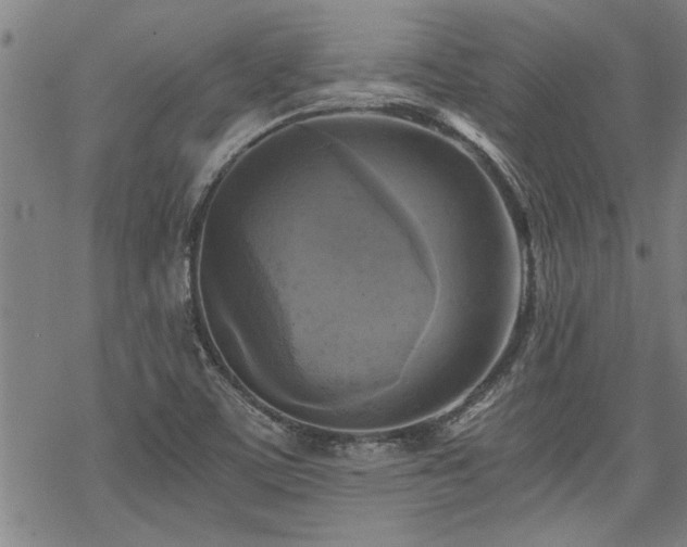 X0000069811459200605191033