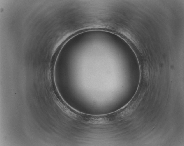 X0000069811460200605191033