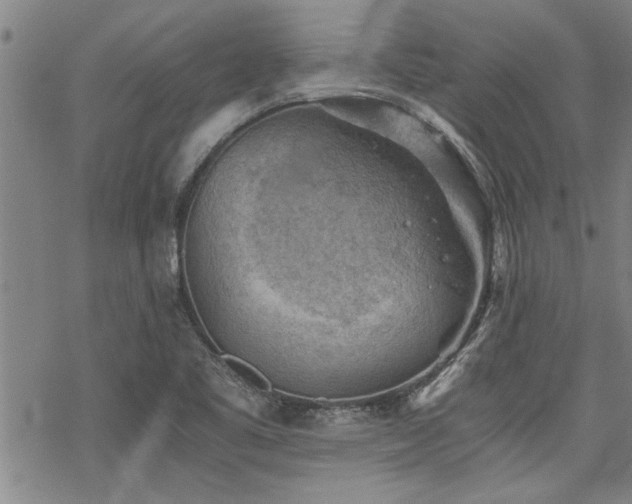 X0000069811461200605191033