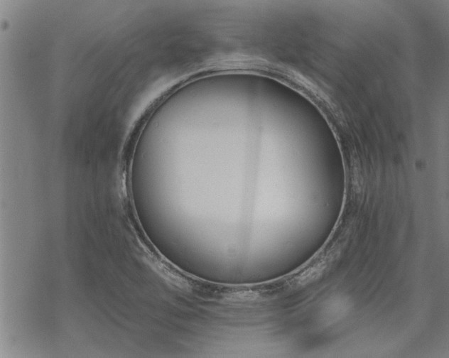 X0000069811462200605191033