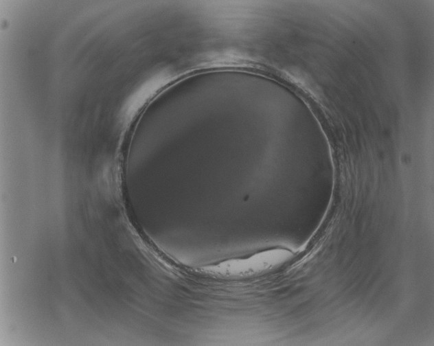 X0000069811463200605191033