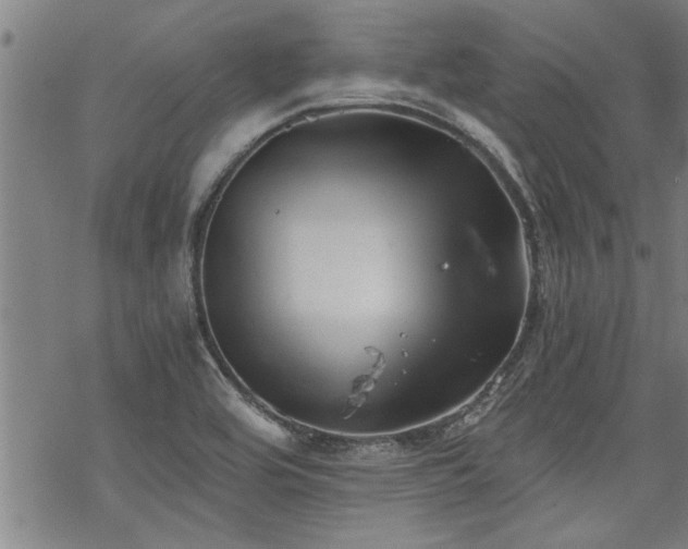 X0000069811464200605191033